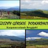 Comenius - plakaty uczniów